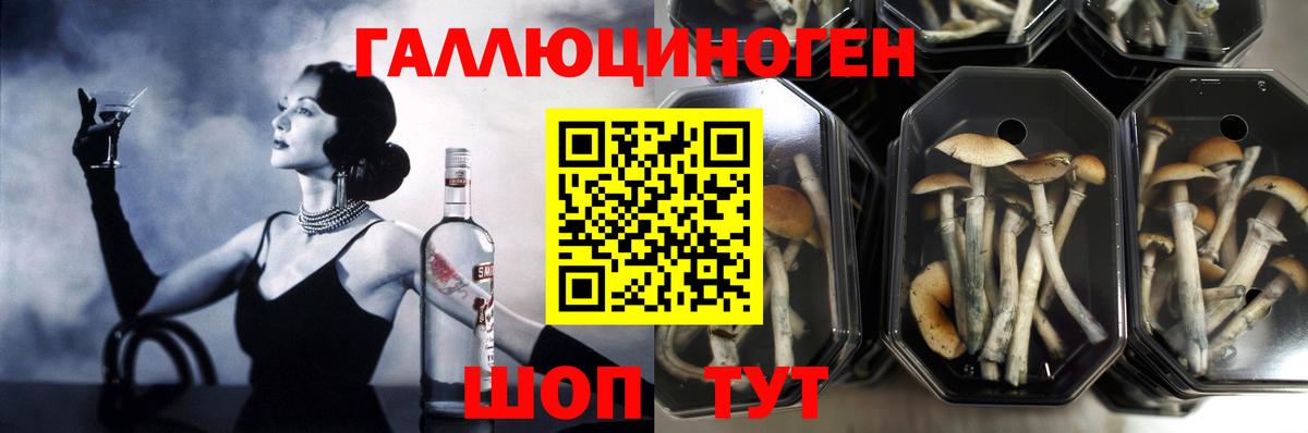 Галлюциногенные грибы MAGIC MUSHROOMS  Вход с VPN  Северобайкальск 